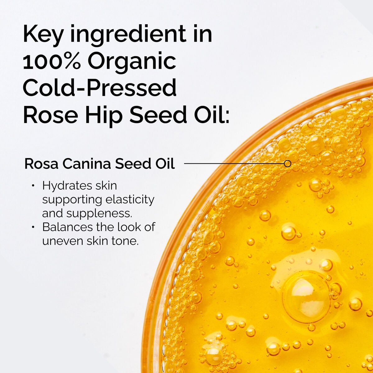 100-organic-cold-pressed-rose-hip-seed-oil-b5 FY25-D41247-ORD-Web-PDP-100-Rose-Hip-Oil-1x1-EN-2.jpg