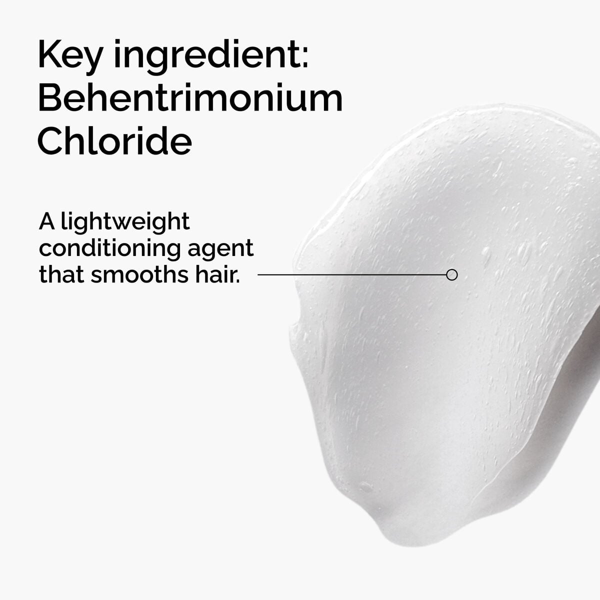 behentrimonium-chloride-2-conditioner-r5 FY25-D41247-ORD-Web-PDP-BTC-1x1-EN-2a.jpg