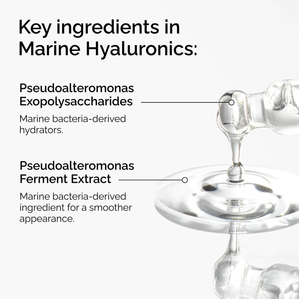 marine-hyaluronics-c1 FY25-D41247-ORD-Web-PDP-Marine-Hya-1x1-EN-2a.jpg