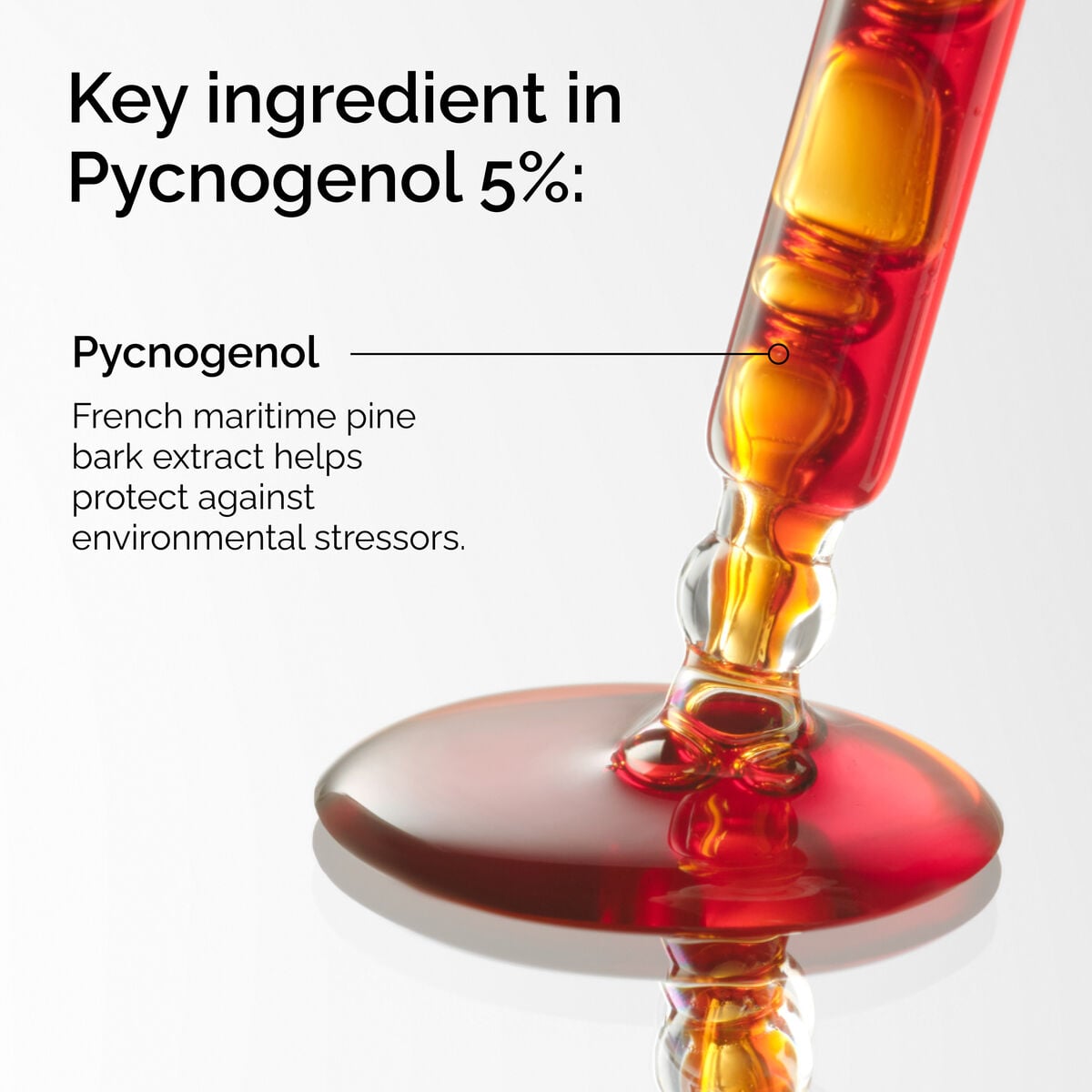 pycnogenol-5-h0 FY25-D41247-ORD-Web-PDP-Pyc-5pct-1x1-EN-2a.jpg