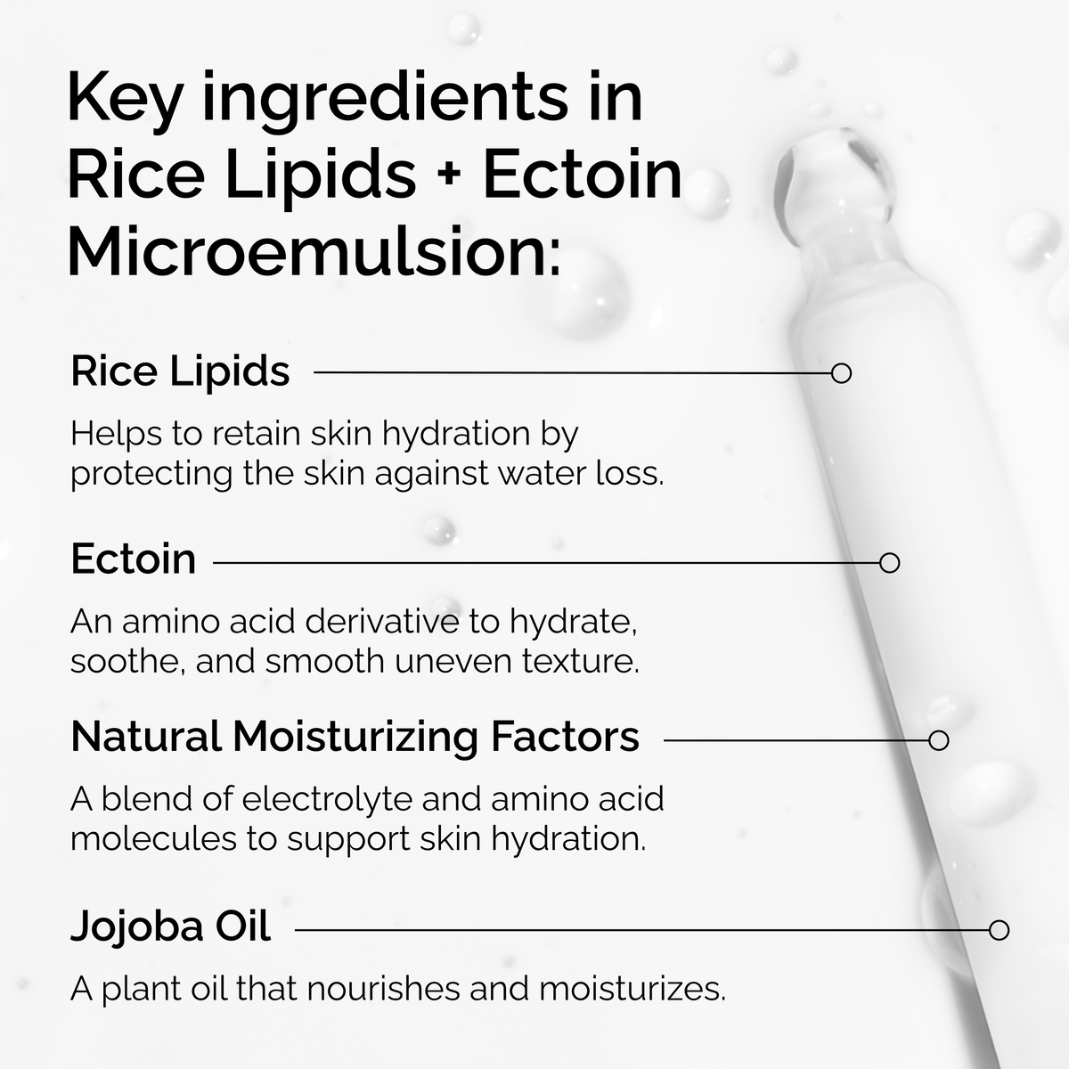 rice-lipids-ectoin-microemulsion-o7 ord-rice-lipids-ectoin-microemulsion-key-ingredients.png
