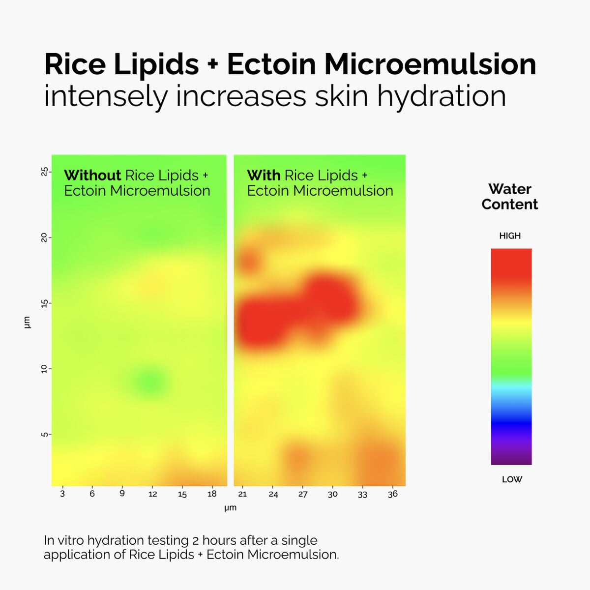 rice-lipids-ectoin-microemulsion-o7 ord-rice-lipids-ectoin-microemulsion-thermal-before-after.jpg